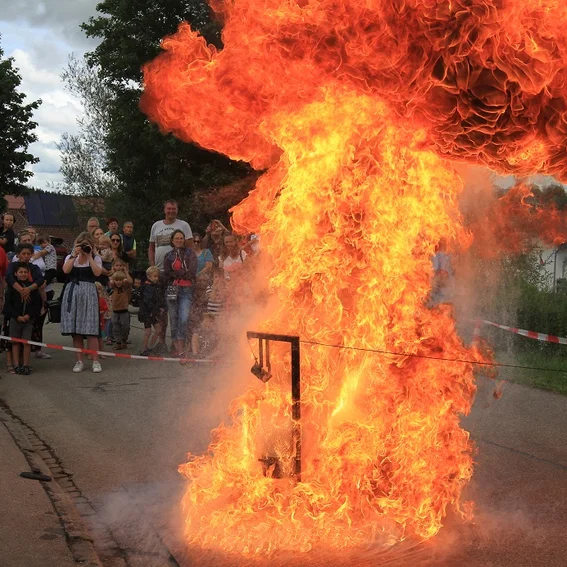 12-Blaulichttag FW Fest.JPG