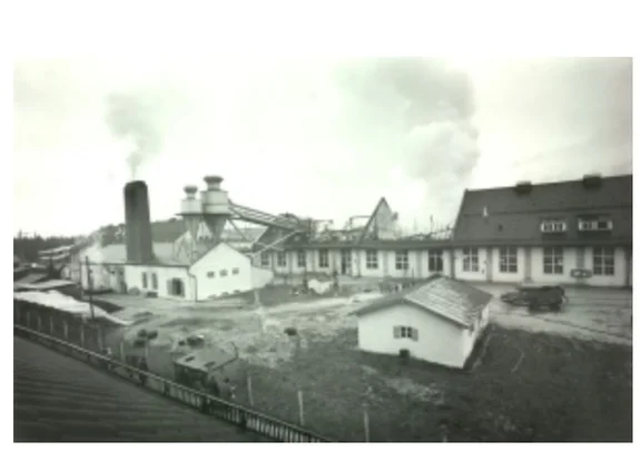 Brand Schowanek b.jpg