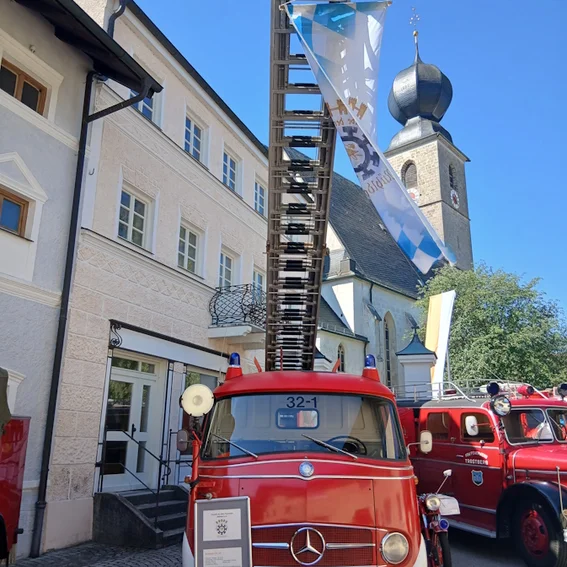 20260711_102137.jpg